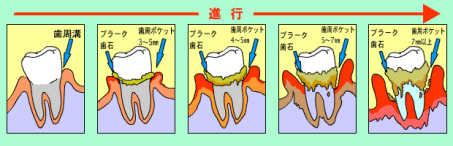 画像の説明